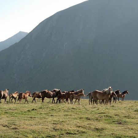 Casa Rural Era De Ferro Erill la Vall Eksteriør bilde