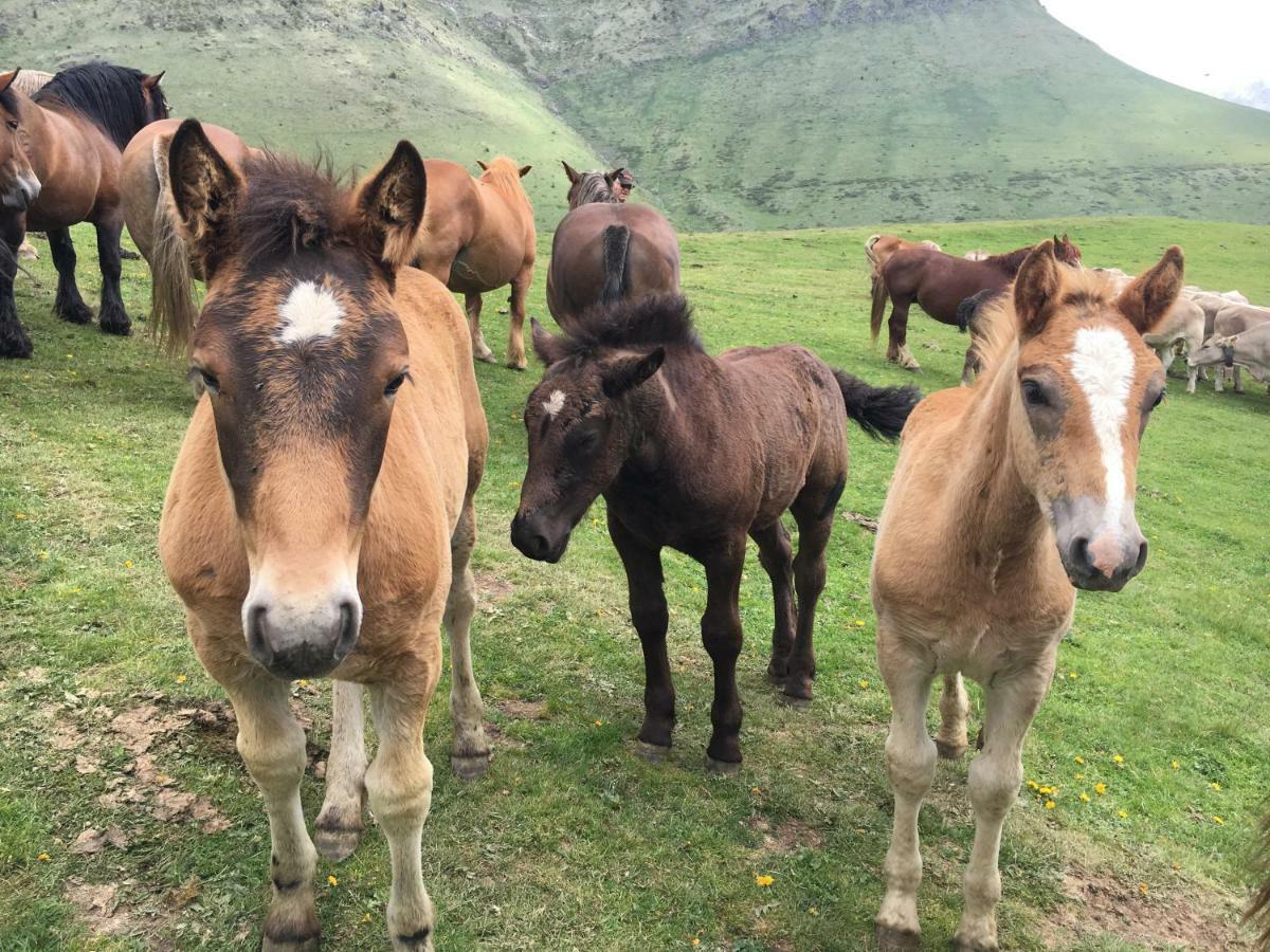 Casa Rural Era De Ferro Erill la Vall Eksteriør bilde